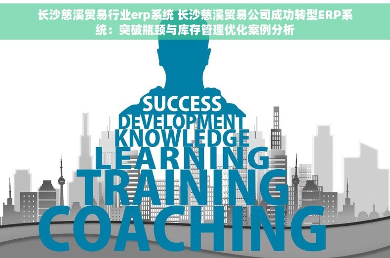 长沙慈溪贸易行业erp系统 长沙慈溪贸易公司成功转型ERP系统：突破瓶颈与库存管理优化案例分析