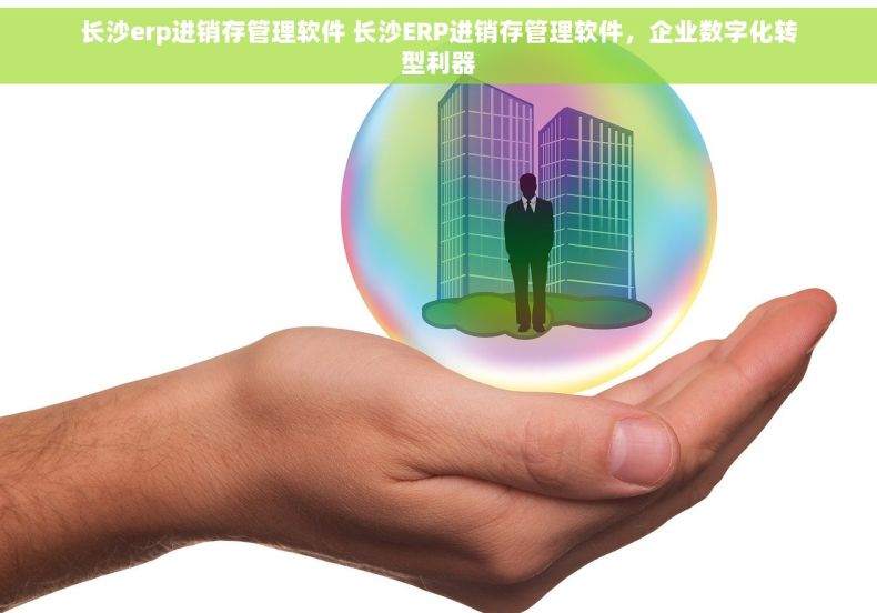 长沙erp进销存管理软件 长沙ERP进销存管理软件，企业数字化转型利器
