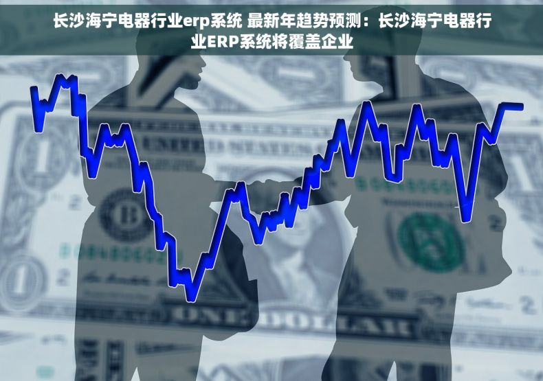 长沙海宁电器行业erp系统 最新年趋势预测：长沙海宁电器行业ERP系统将覆盖企业
