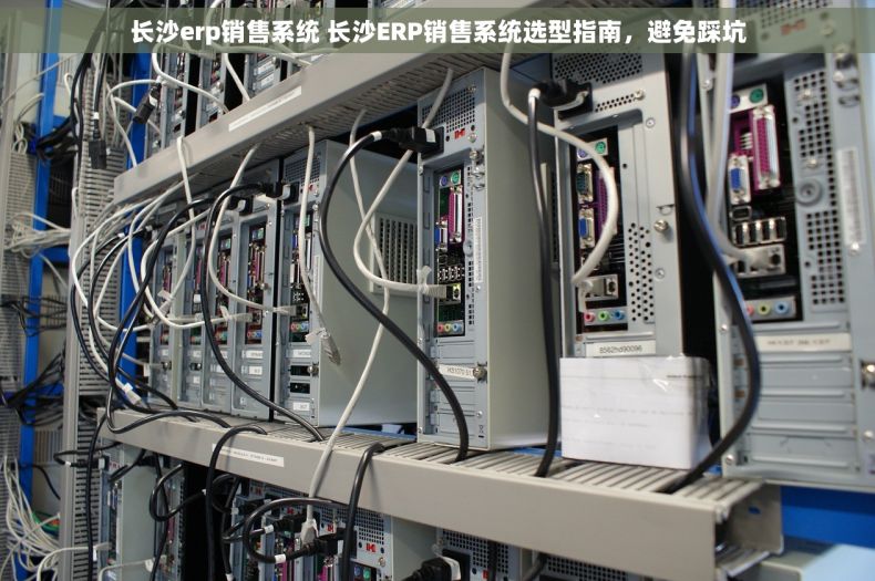 长沙erp销售系统 长沙ERP销售系统选型指南，避免踩坑