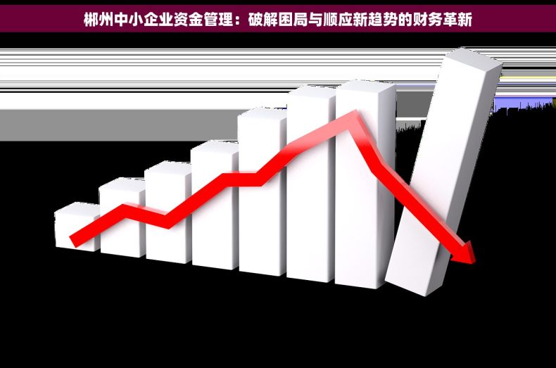 郴州中小企业资金管理：破解困局与顺应新趋势的财务革新