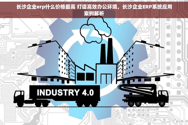 长沙企业erp什么价格最高 打造高效办公环境，长沙企业ERP系统应用案例解析