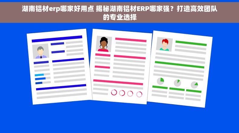 湖南铝材erp哪家好用点 揭秘湖南铝材ERP哪家强？打造高效团队的专业选择