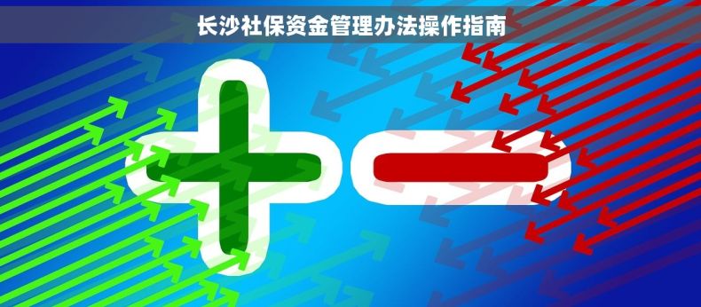 长沙社保资金管理办法操作指南