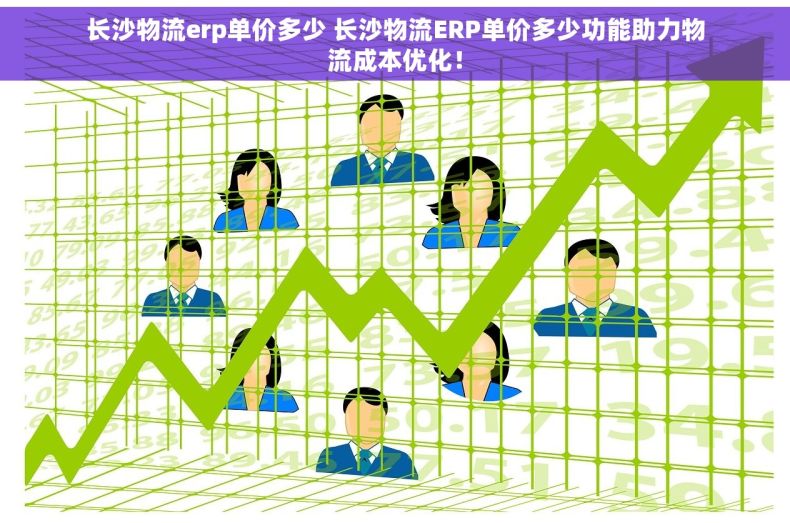 长沙物流erp单价多少 长沙物流ERP单价多少功能助力物流成本优化！