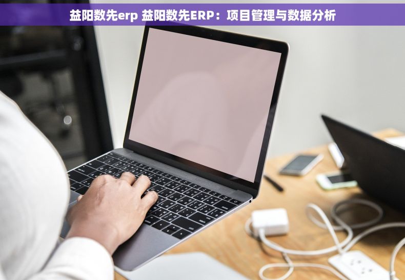 益阳数先erp 益阳数先ERP：项目管理与数据分析