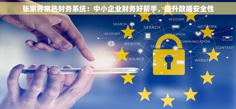 张家界常熟财务系统：中小企业财务好帮手，提升数据安全性