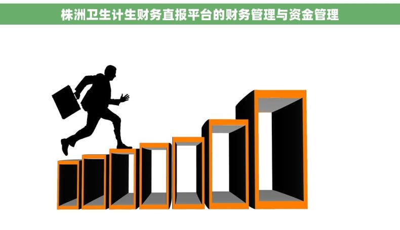 株洲卫生计生财务直报平台的财务管理与资金管理