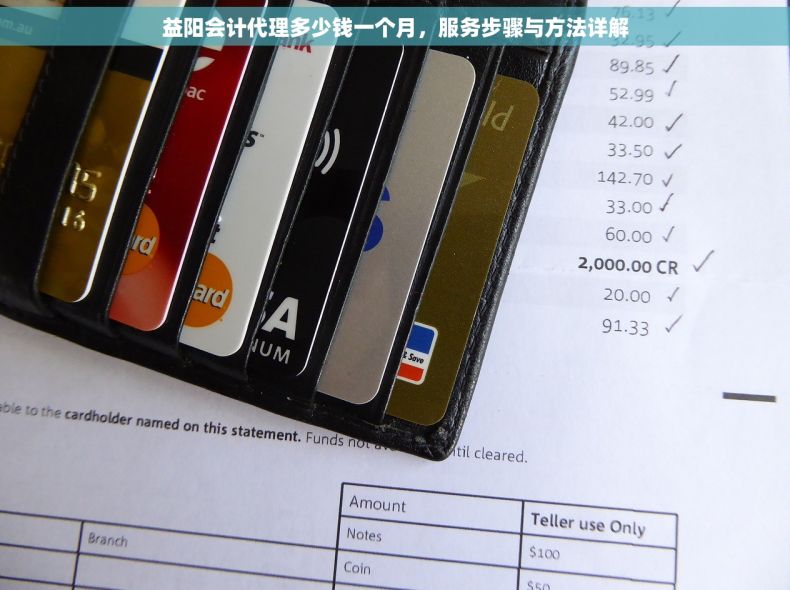 益阳会计代理多少钱一个月，服务步骤与方法详解
