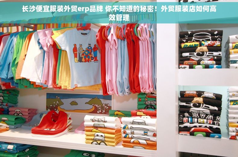 长沙便宜服装外贸erp品牌 你不知道的秘密！外贸服装店如何高效管理