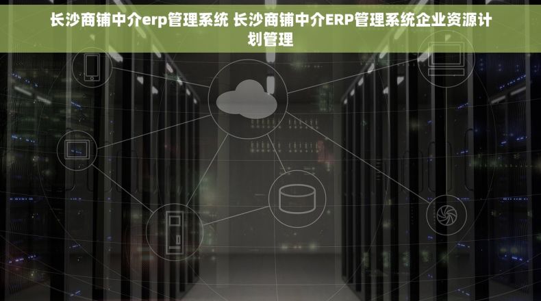 长沙商铺中介erp管理系统 长沙商铺中介ERP管理系统企业资源计划管理