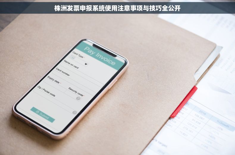 株洲发票申报系统使用注意事项与技巧全公开