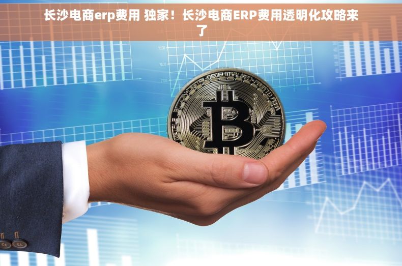 长沙电商erp费用 独家！长沙电商ERP费用透明化攻略来了