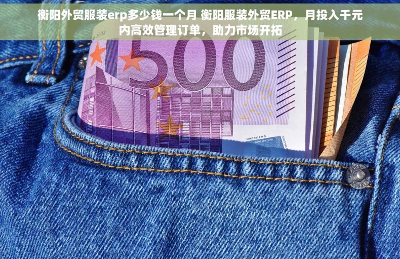 衡阳外贸服装erp多少钱一个月 衡阳服装外贸ERP，月投入千元内高效管理订单，助力市场开拓