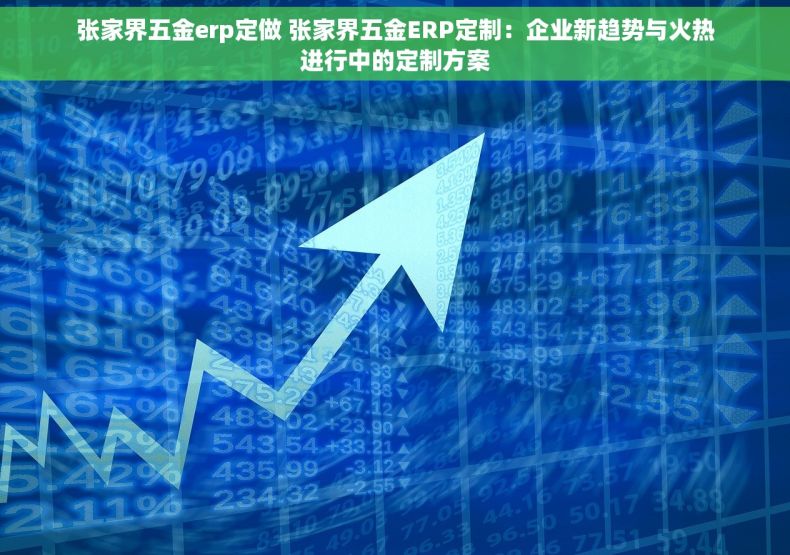 张家界五金erp定做 张家界五金ERP定制：企业新趋势与火热进行中的定制方案