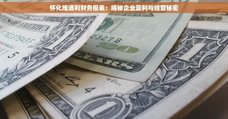 怀化维通利财务报表：揭秘企业盈利与经营秘密