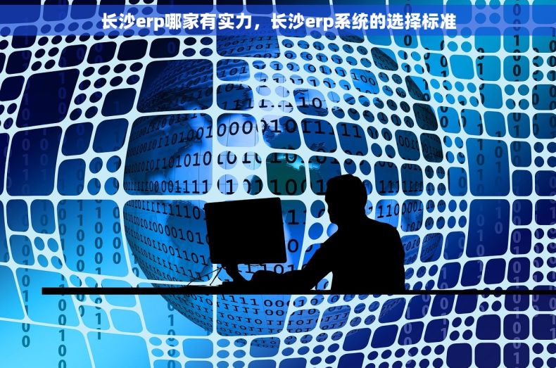 长沙erp哪家有实力，长沙erp系统的选择标准