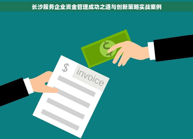 长沙服务企业资金管理成功之道与创新策略实战案例