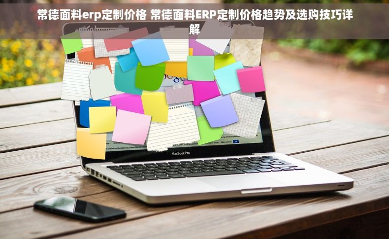 常德面料erp定制价格 常德面料ERP定制价格趋势及选购技巧详解