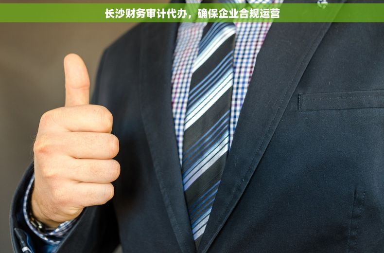 长沙财务审计代办，确保企业合规运营