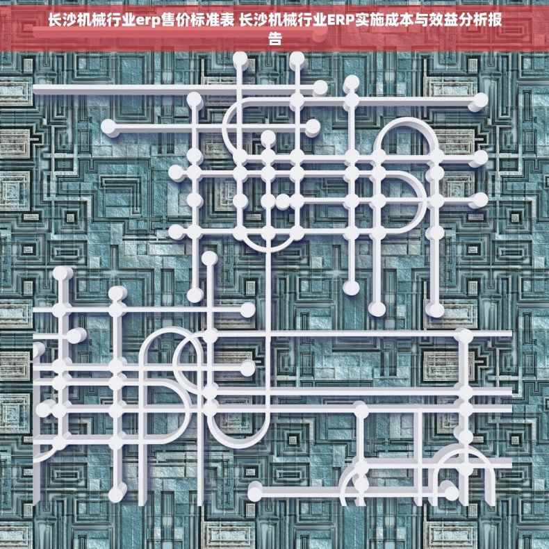 长沙机械行业erp售价标准表 长沙机械行业ERP实施成本与效益分析报告