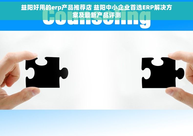 益阳好用的erp产品推荐店 益阳中小企业首选ERP解决方案及最新产品评测