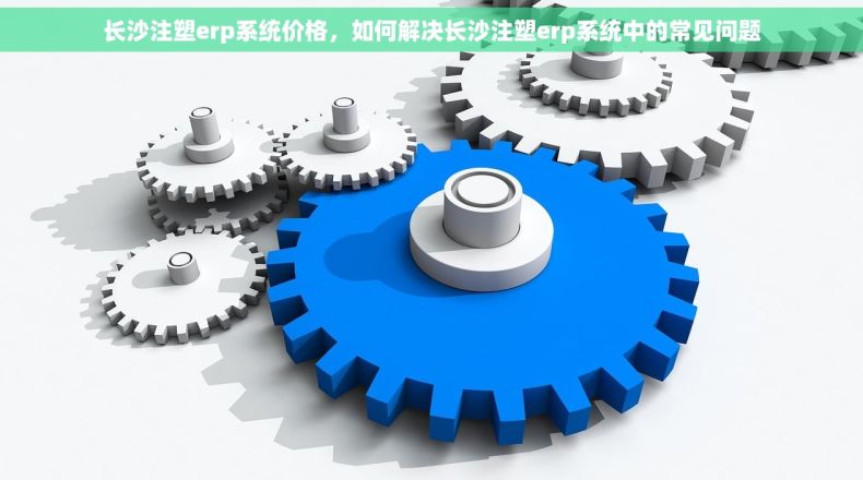 长沙注塑erp系统价格，如何解决长沙注塑erp系统中的常见问题