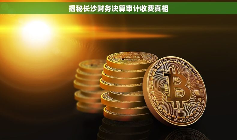 揭秘长沙财务决算审计收费真相