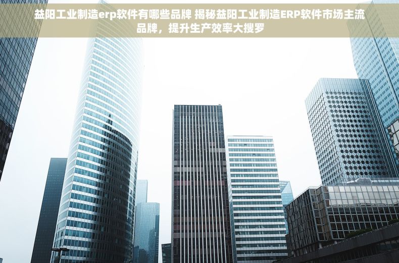 益阳工业制造erp软件有哪些品牌 揭秘益阳工业制造ERP软件市场主流品牌，提升生产效率大搜罗