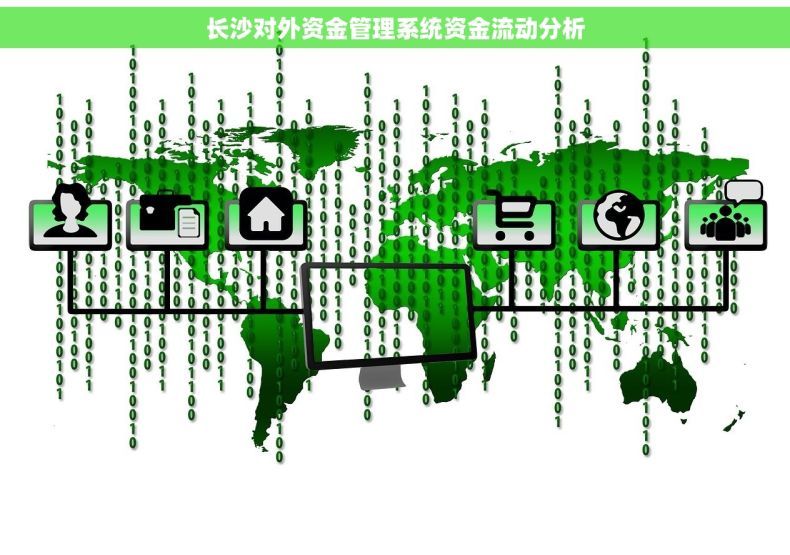 长沙对外资金管理系统资金流动分析