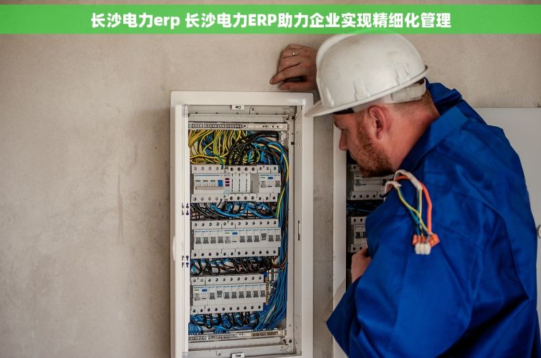 长沙电力erp 长沙电力ERP助力企业实现精细化管理