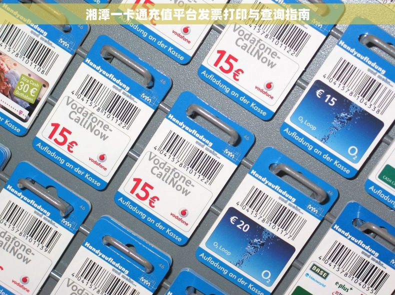 湘潭一卡通充值平台发票打印与查询指南