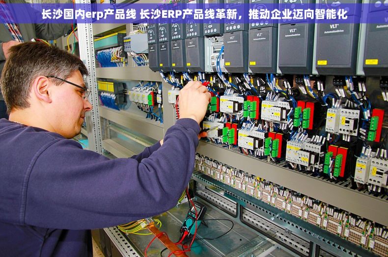 长沙国内erp产品线 长沙ERP产品线革新，推动企业迈向智能化