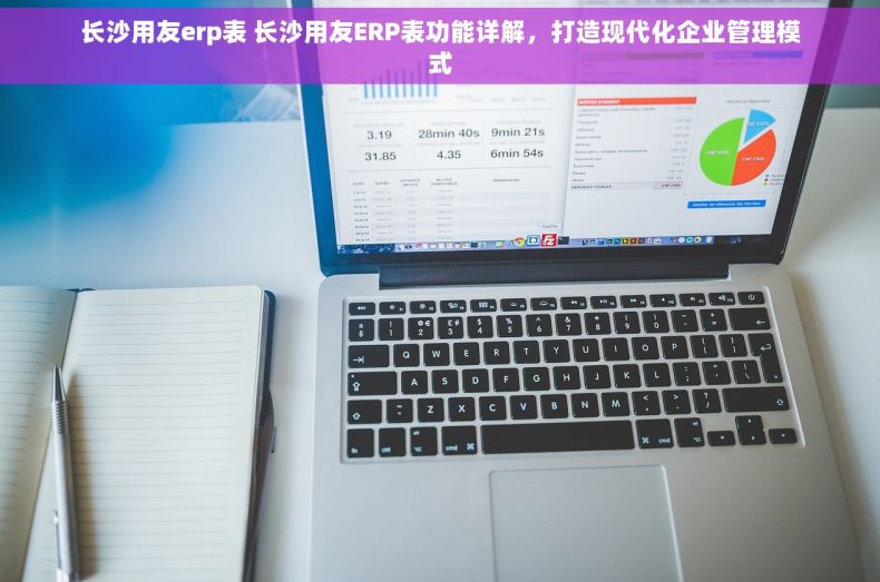 长沙用友erp表 长沙用友ERP表功能详解，打造现代化企业管理模式