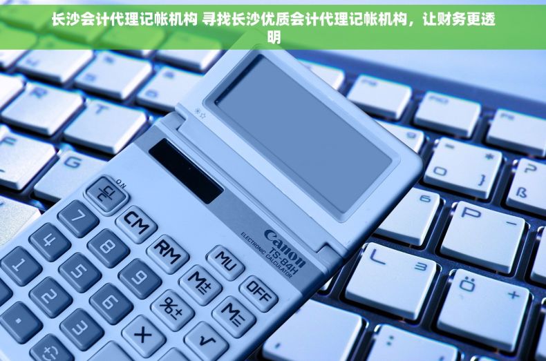 长沙会计代理记帐机构 寻找长沙优质会计代理记帐机构，让财务更透明