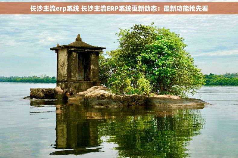 长沙主流erp系统 长沙主流ERP系统更新动态：最新功能抢先看
