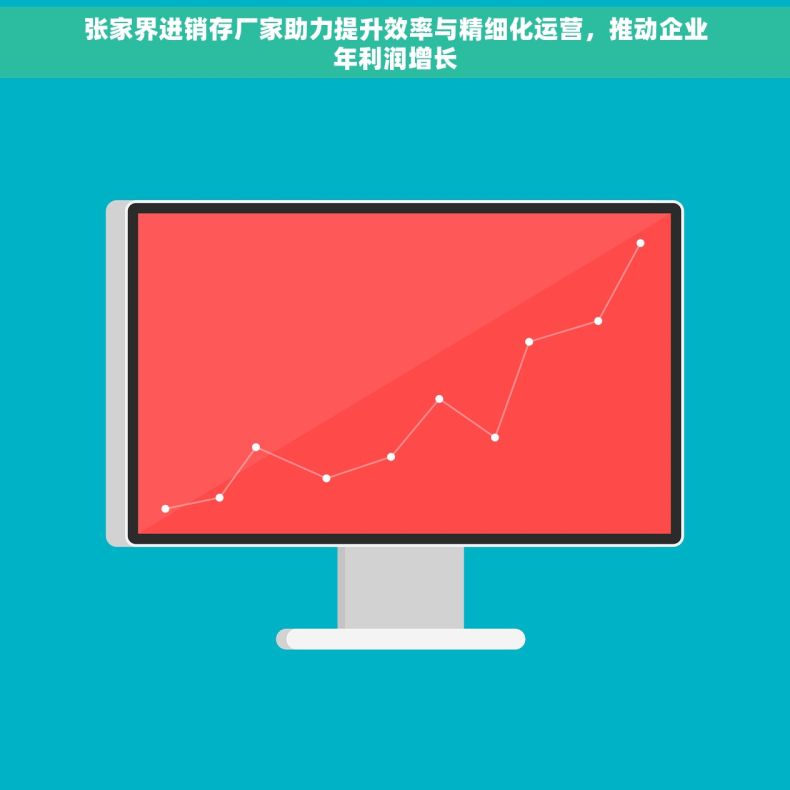 张家界进销存厂家助力提升效率与精细化运营，推动企业年利润增长