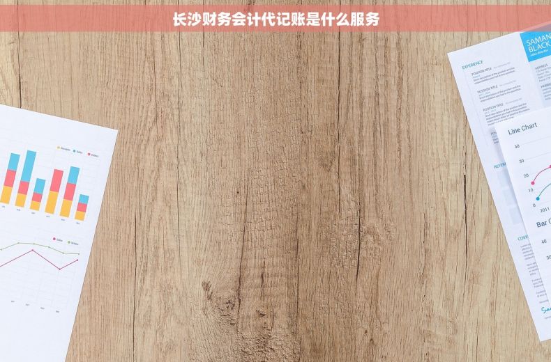 长沙财务会计代记账是什么服务