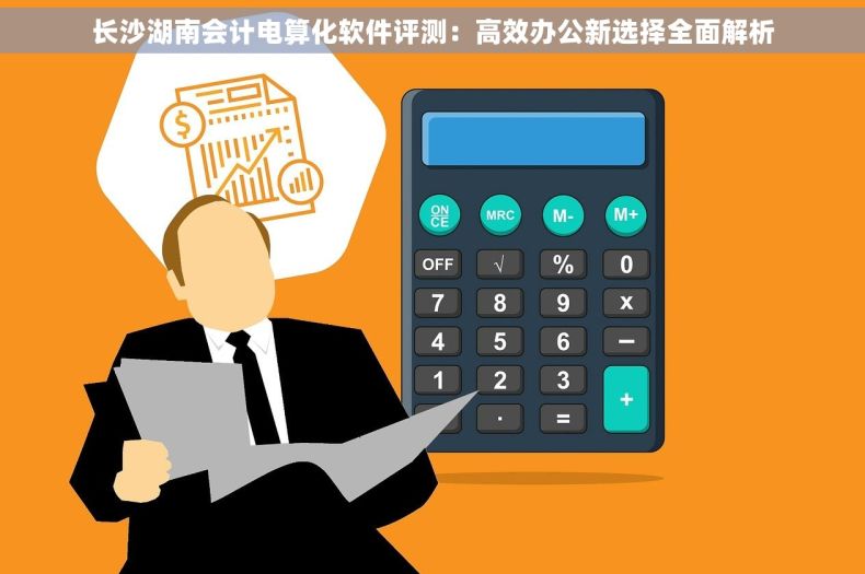 长沙湖南会计电算化软件评测：高效办公新选择全面解析