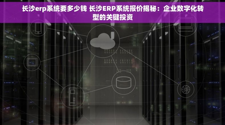 长沙erp系统要多少钱 长沙ERP系统报价揭秘：企业数字化转型的关键投资