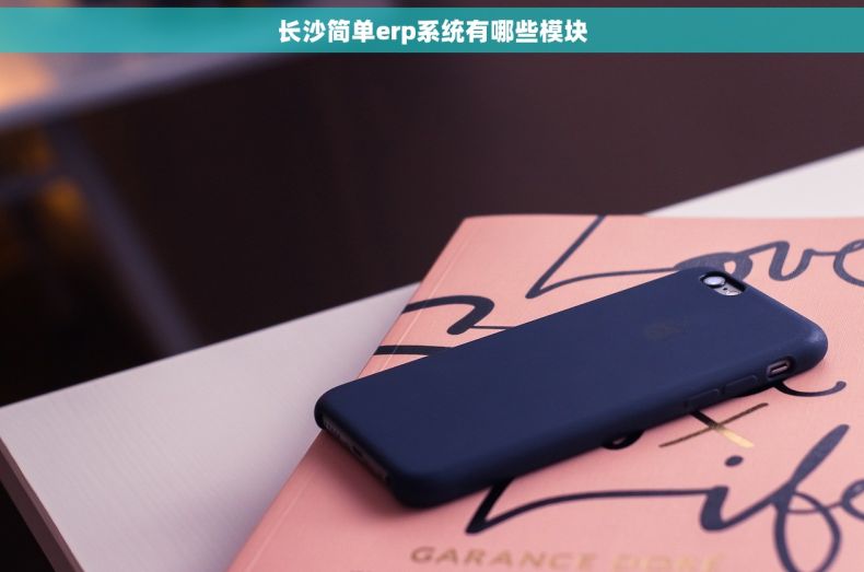 长沙简单erp系统有哪些模块