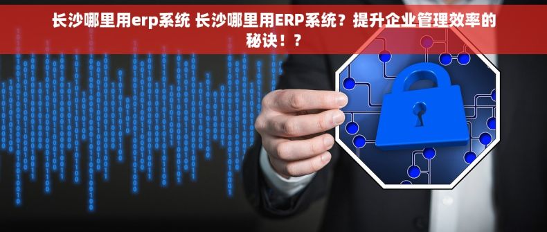 长沙哪里用erp系统 长沙哪里用ERP系统？提升企业管理效率的秘诀！?