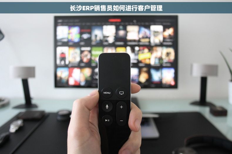 长沙ERP销售员如何进行客户管理