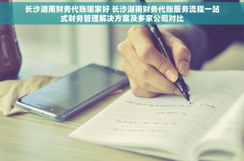 长沙湖南财务代账哪家好 长沙湖南财务代账服务流程一站式财务管理解决方案及多家公司对比
