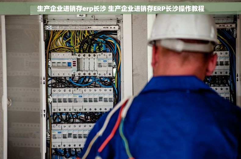 生产企业进销存erp长沙 生产企业进销存ERP长沙操作教程
