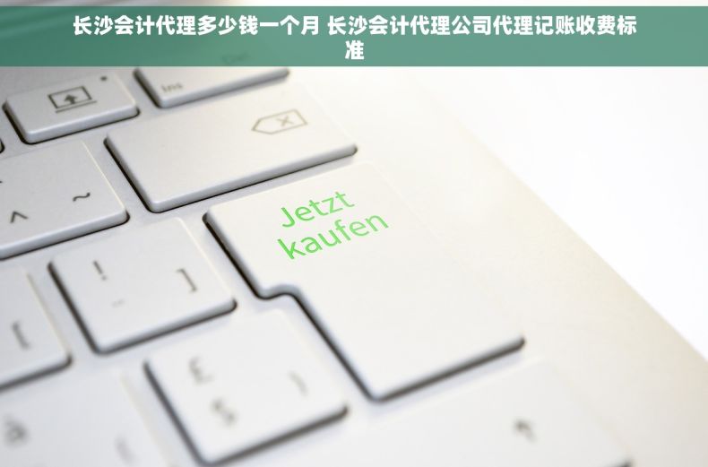 长沙会计代理多少钱一个月 长沙会计代理公司代理记账收费标准