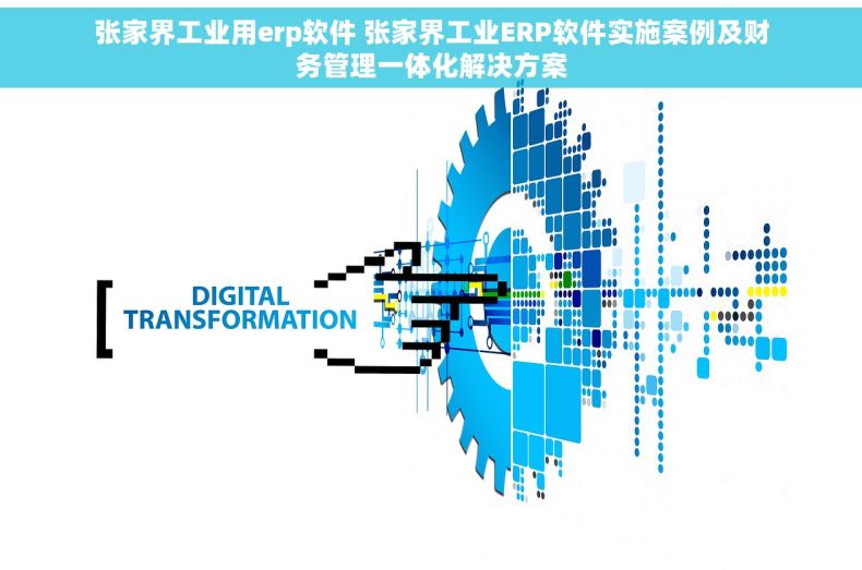张家界工业用erp软件 张家界工业ERP软件实施案例及财务管理一体化解决方案