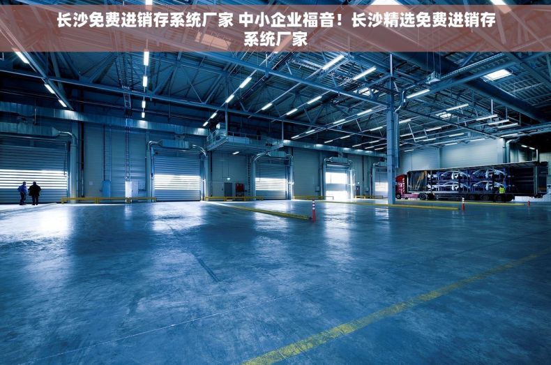 长沙免费进销存系统厂家 中小企业福音！长沙精选免费进销存系统厂家