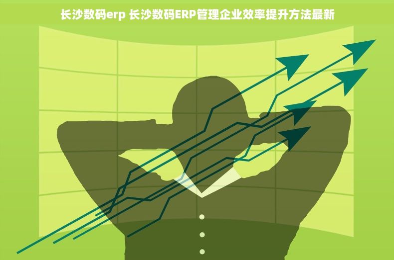 长沙数码erp 长沙数码ERP管理企业效率提升方法最新