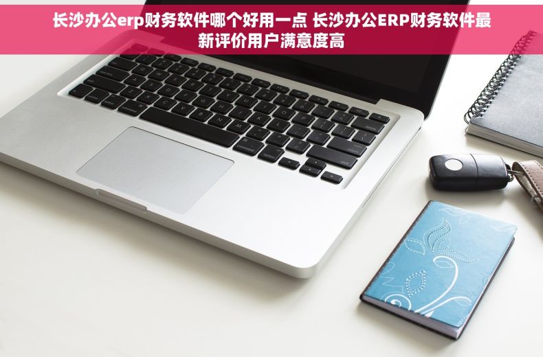 长沙办公erp财务软件哪个好用一点 长沙办公ERP财务软件最新评价用户满意度高